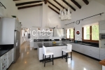 watermarked_IMG_6729