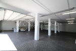 watermarked_IMG_6767