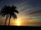 C8- Estepona - Playa Rada amanecer