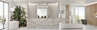P10650_vista_pano_baño2