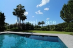 watermarked_IMG_7236
