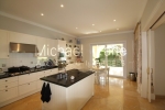 watermarked_IMG_7816