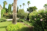 watermarked_IMG_7890