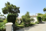 watermarked_IMG_7940