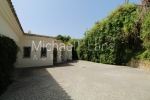 watermarked_IMG_7932