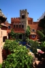 Amanhavis outside (2)