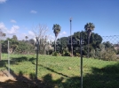 watermarked_Imagen de WhatsApp 2024-03-06 a las 13.40.51_d3d420c1