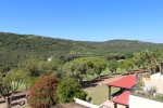 watermarked_IMG_0191
