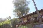 watermarked_IMG_0080