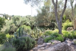 watermarked_IMG_0083