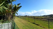 IMG-20250115-WA0012