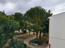 vistas (2)