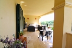 terrace (3)