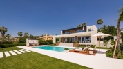 The villa 1