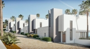 Development  (3)