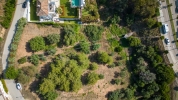 DJI_0842