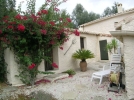 courtyard garden