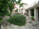 courtyard garden