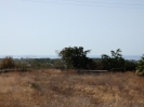 view land paddock