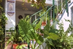 coveredterrace