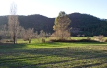 large_AWVADP278_8610_V0_31DB.jpg