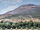 Panoramic 1