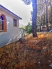 Panoramic 13
