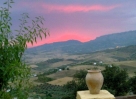 WhatsApp Image 2023-05-12 at 15.23.43 (2)