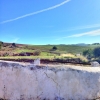 fiscala (3)