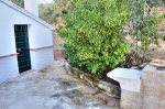 IMG-4553 (1)