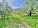 d20481f2-bd97-4e91-8798-27693c4932d5