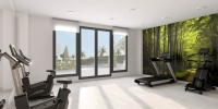 gimnasio
