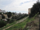 plot-seaviews