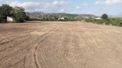 house-plot