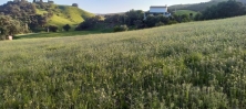 plot-villa