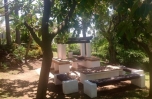 AM1860_1_15_barbacoa