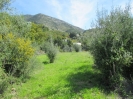 plot-1