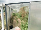 Huerto1