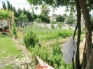 Huerto