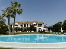 Luxury Beachfront Villa Costa del Sol Spain (1)