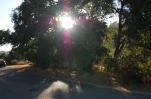 P5390 Perfectly located plot in Elviria (2)
