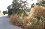 P5390 Perfectly located plot in Elviria (4)
