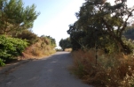 P5390 Perfectly located plot in Elviria (5)