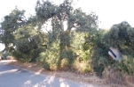 P5390 Perfectly located plot in Elviria (14)