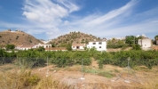 Finca for sale in Malaga Spain (14) (Large)