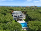 Luxury Villa Marbella East Spain (12)