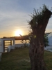 New Modern Villa Marbella Golden Mile (17)