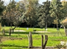 Fronline Golf Villa for Renovation Marbella West (4)