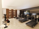 Modern Villa for sale Marbella Golden Mile (17)
