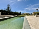 Luxury Mansion Marbella Golden Mile Spain (13) (Grande)
